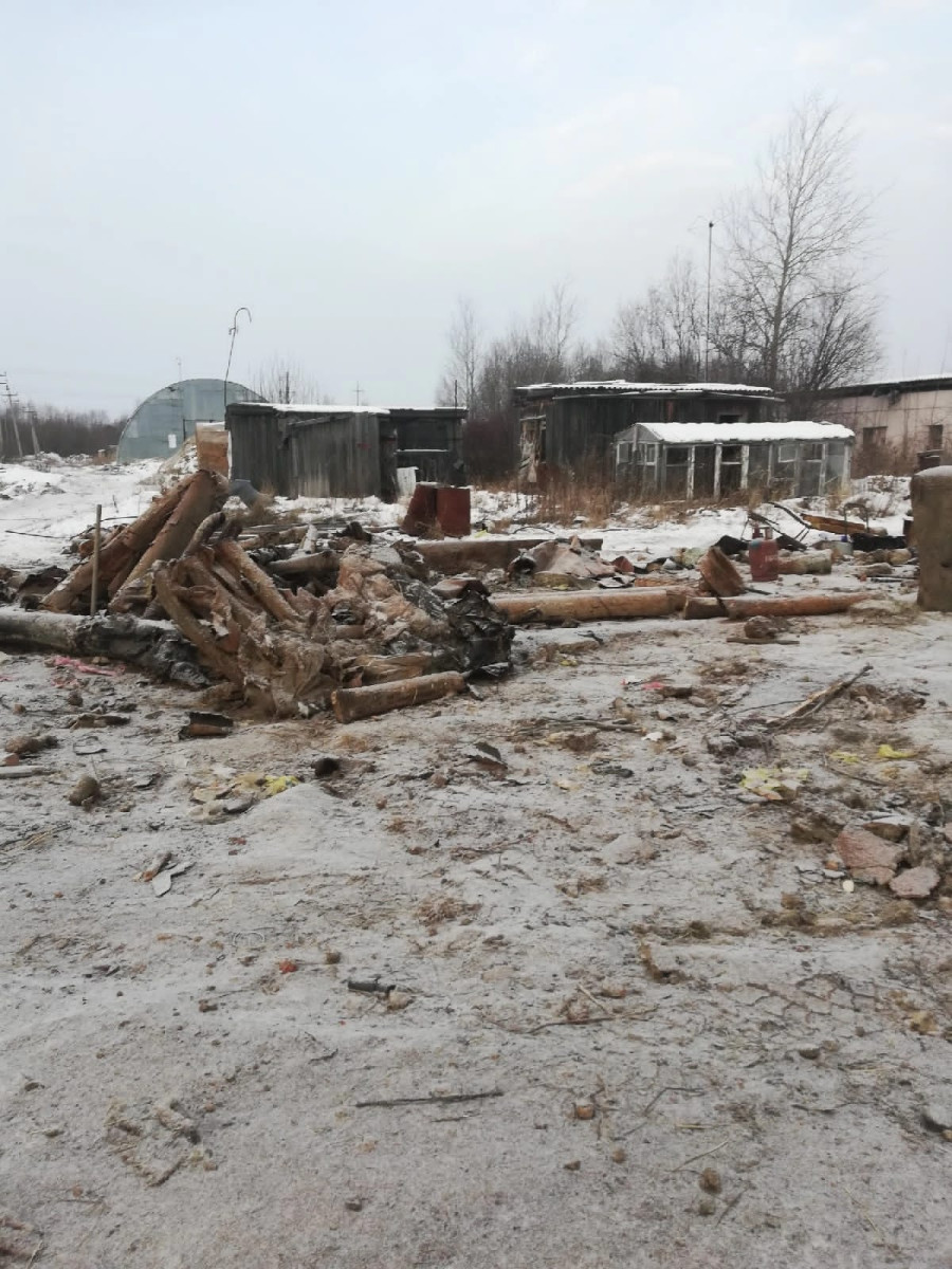 Создание условий для работы в городе Урай городских центров временного  содержания бездомных собак и кошек - Портал МОИФИНАНСЫ.РФ